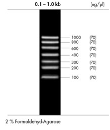 peqGOLD Low Range RTU RNA Ladder