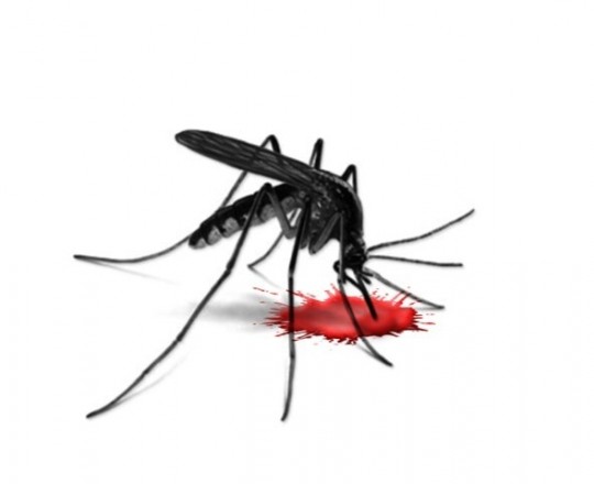 Malária & Dengue