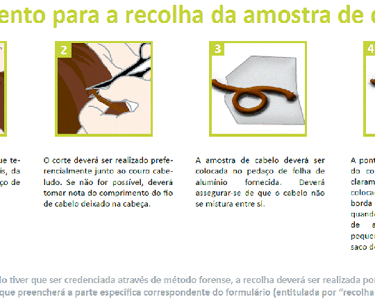 Testes drogas e lcool